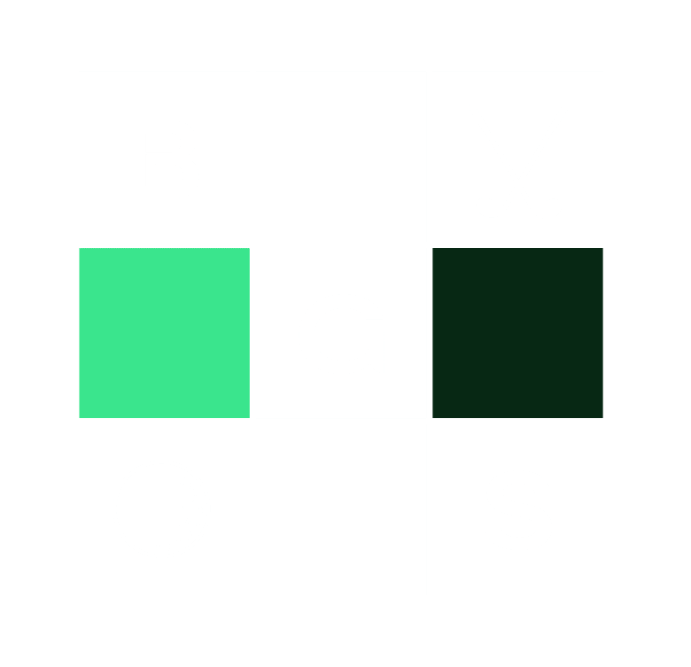 Birdie Golf Studios