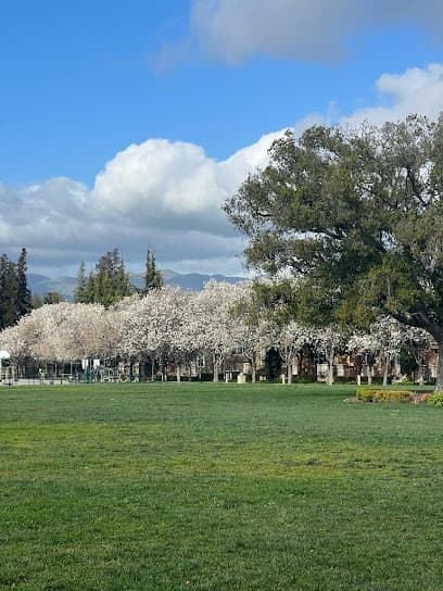 Live Oak Park