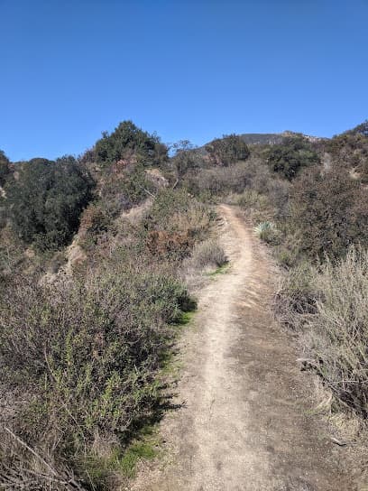 Wilderness Park
