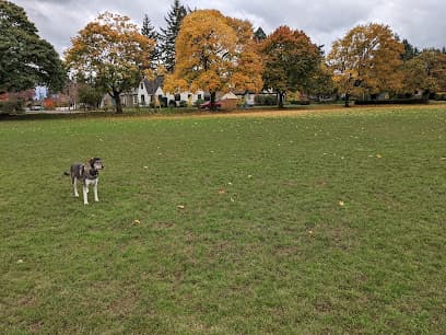 Rose City Park