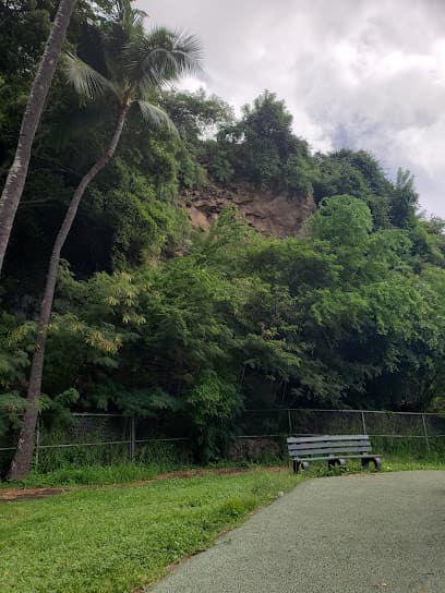 Dole Community Park