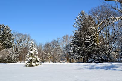 Swinney Park