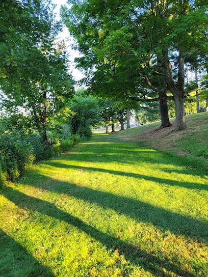 Institute Park