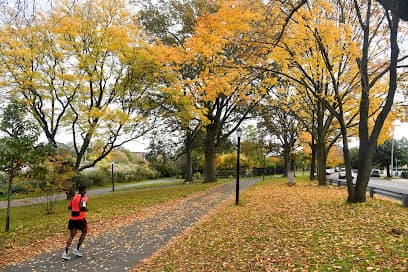 Baisley Pond Park