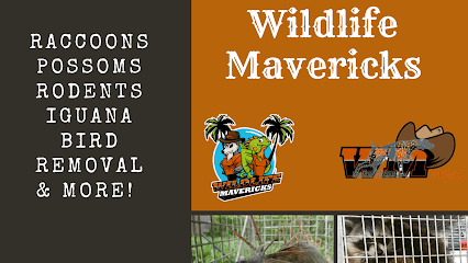 Friends of Bats & Wildlife