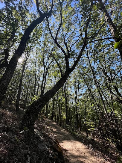 Sawnee Mountainside Hiking & Parking