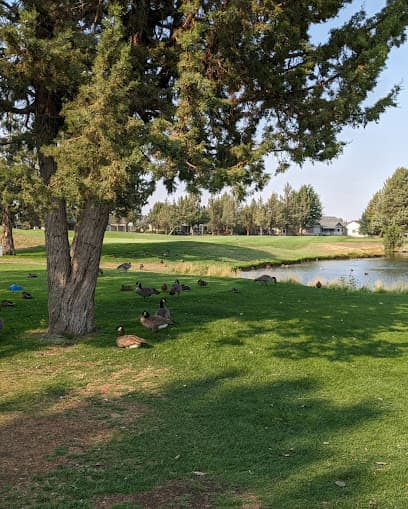 Greens At Redmond