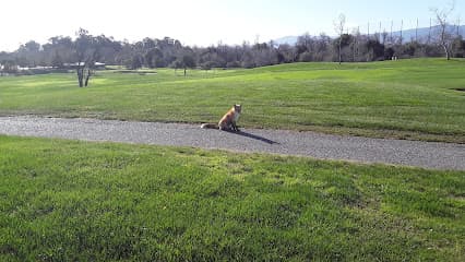 Los Lagos Golf Course Maintenance