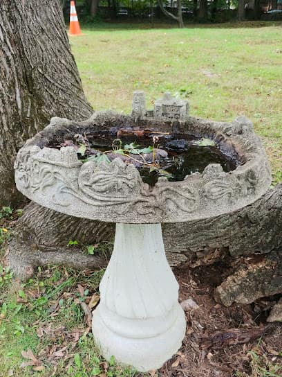 Village of Larchmont Recreation