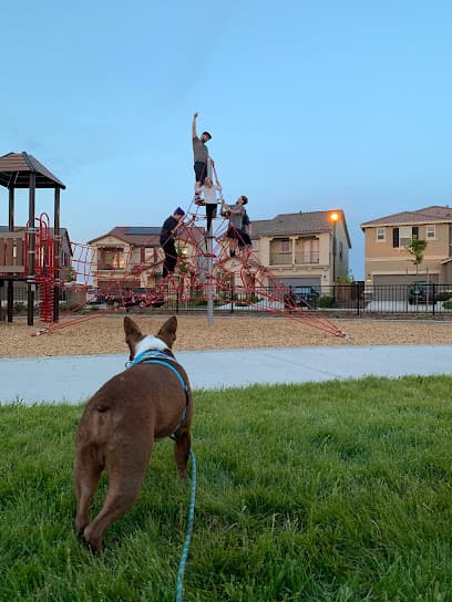 Astill Family Park