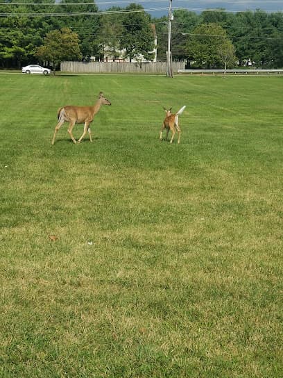 Rockdale Park