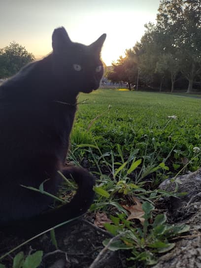 Trower Park