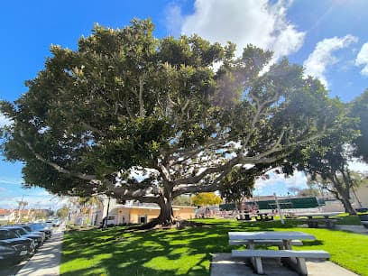 Perry Park