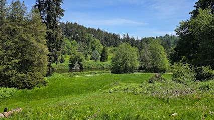 Wayne Park Bothell