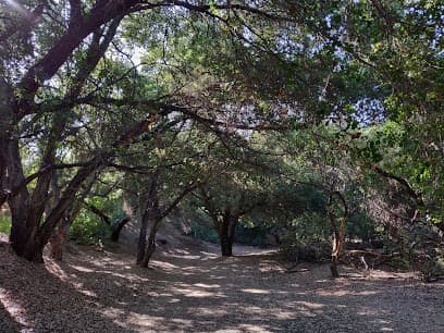 Aliso Canyon Park