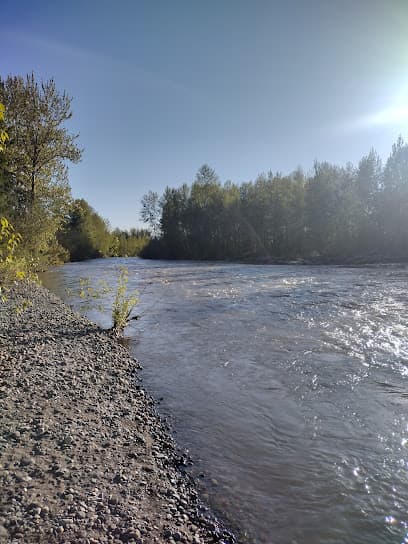 Ballard Park