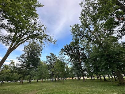 Lincoln Park