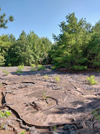 Butts Park Trails
