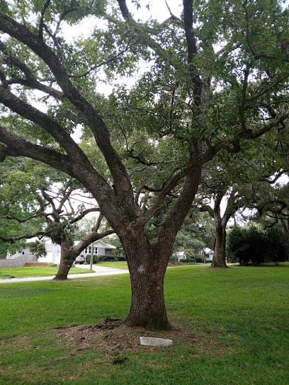 Greenwood Park