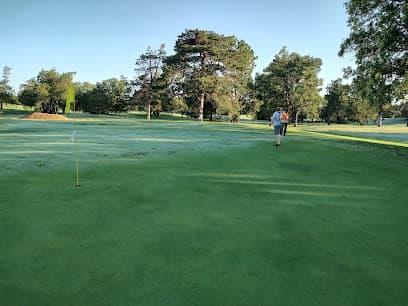 Sim Park #17 green