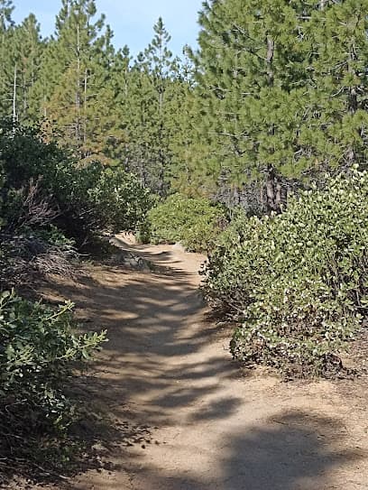 Lewis & Clark Park