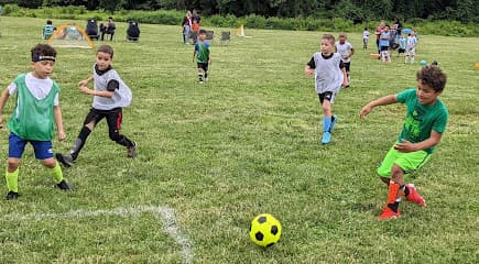 Cheltenham Sports