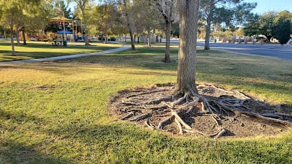 Davis Park