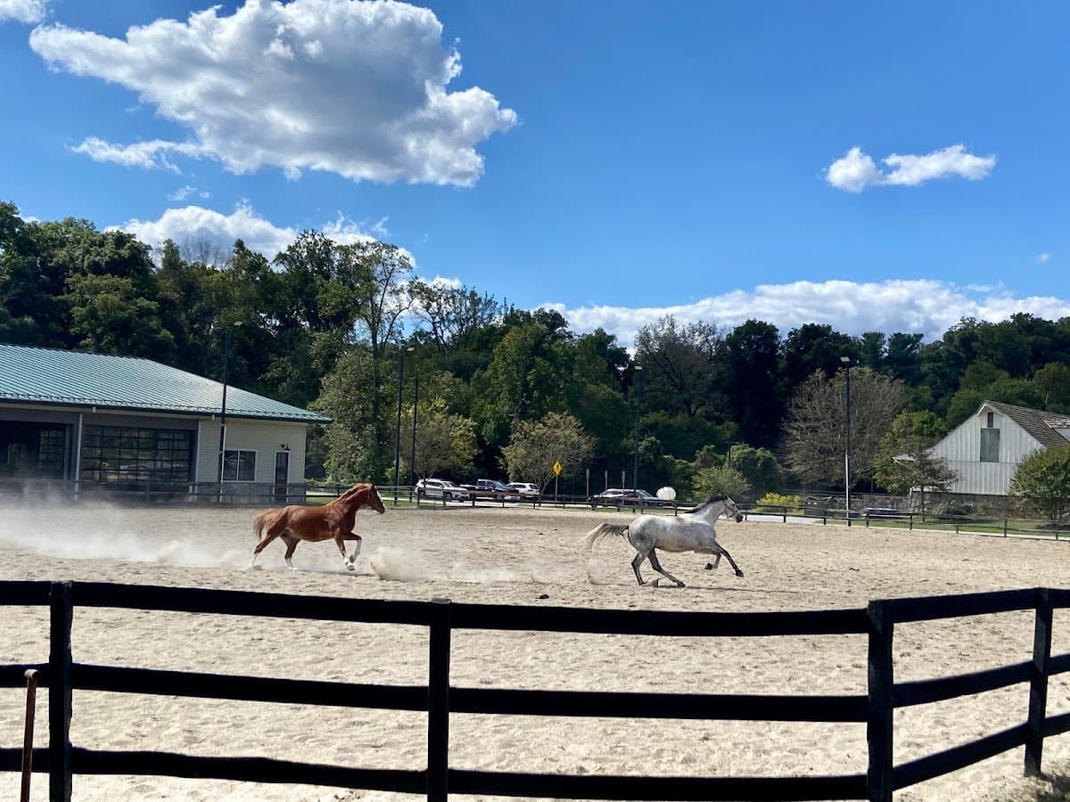 Meadowbrook Local Park