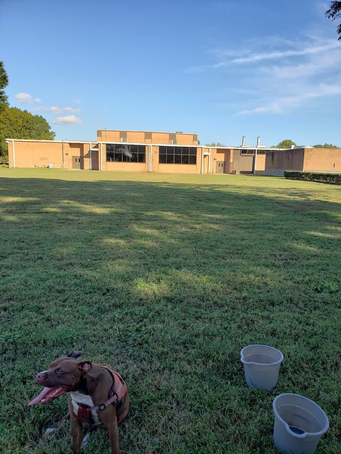 Lindsay Middle School